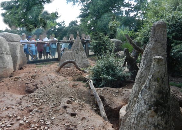 62 - Das Gelaende der Erdmaennchen.....jpg